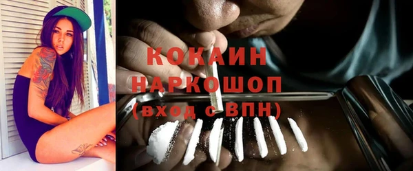 apvp Богородск
