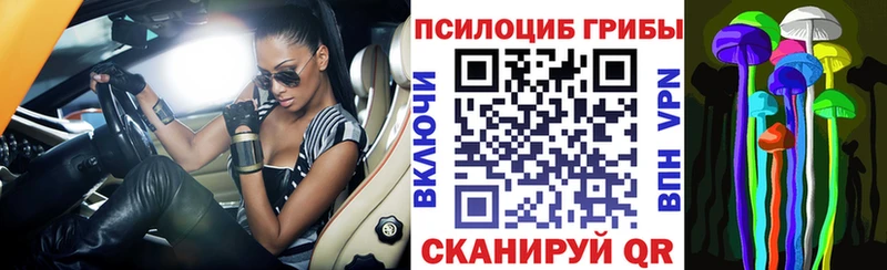 Псилоцибиновые грибы Psilocybine cubensis  где продают   Бузулук 